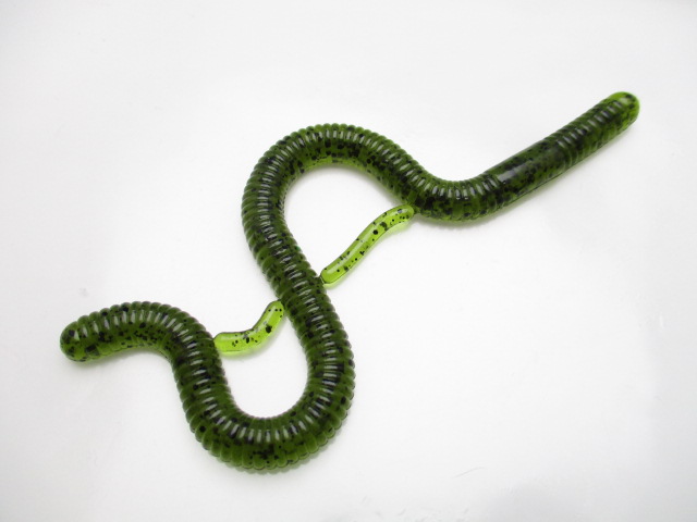 Slinker worm10”