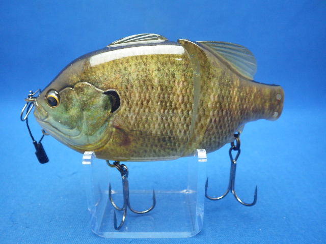 Gill Roid Jr. 3D Realism