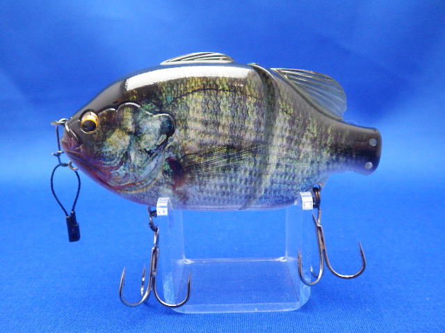 Gill Roid Jr. 3D Realism