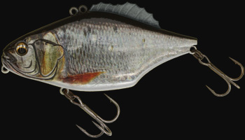 MagnumGillSonic F 3DR