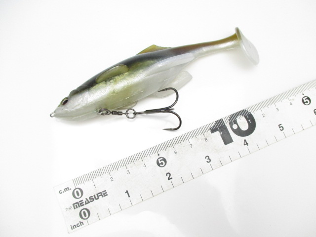 Bricikin Swimmer 5.4