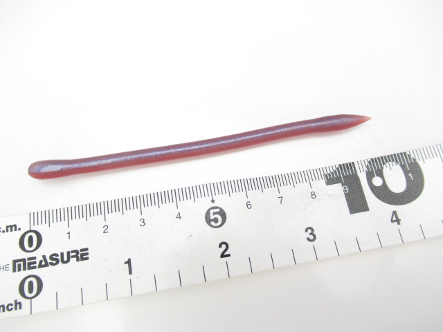 Mighty Straight 3.8”