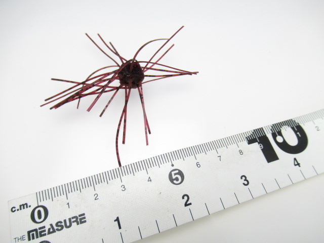 SaikoroRubber Vol.1(8mm)