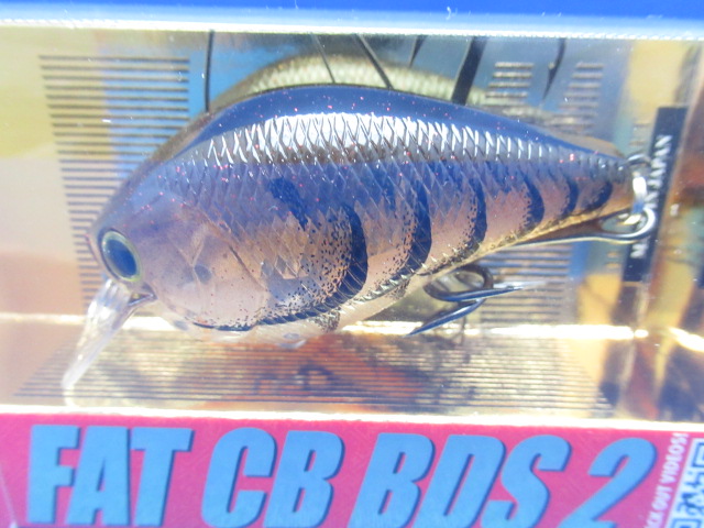 FAT CB B.D.S.2