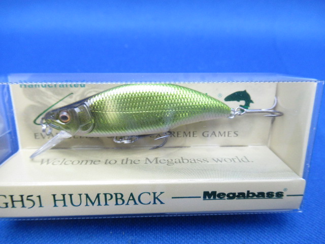 GH51 HUMPBACK(FS)