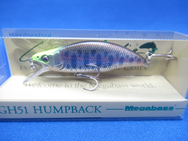 GH51 HUMPBACK(FS)