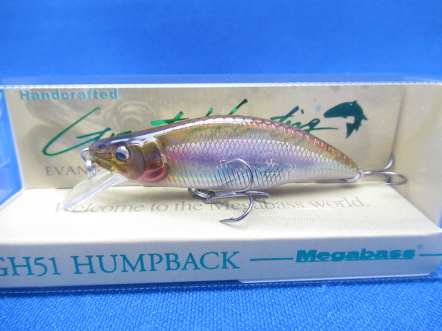 GH51 HUMPBACK(FS)