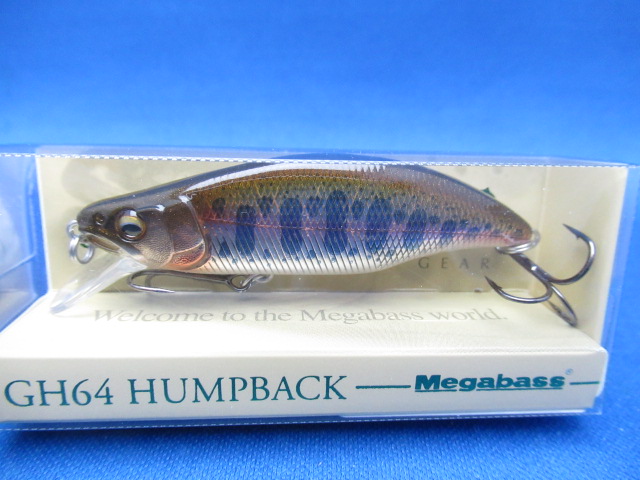 GH64 HUMPBACK(FS)