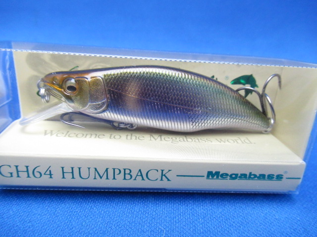 GH64 HUMPBACK(FS)