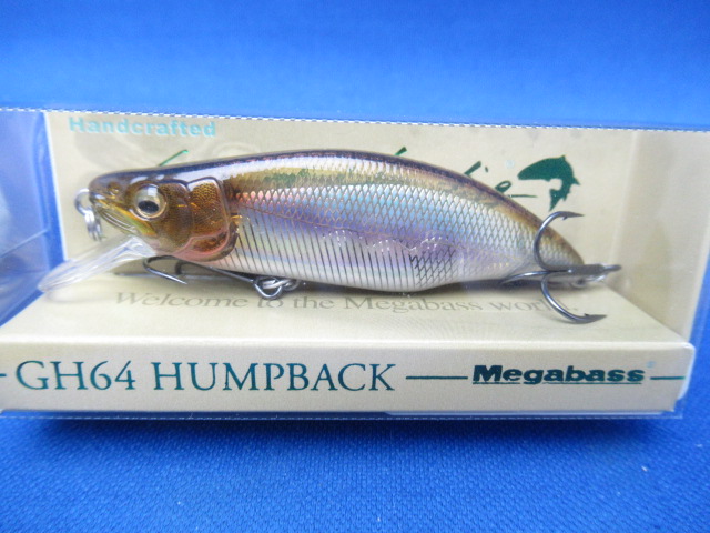 GH64 HUMPBACK(FS)