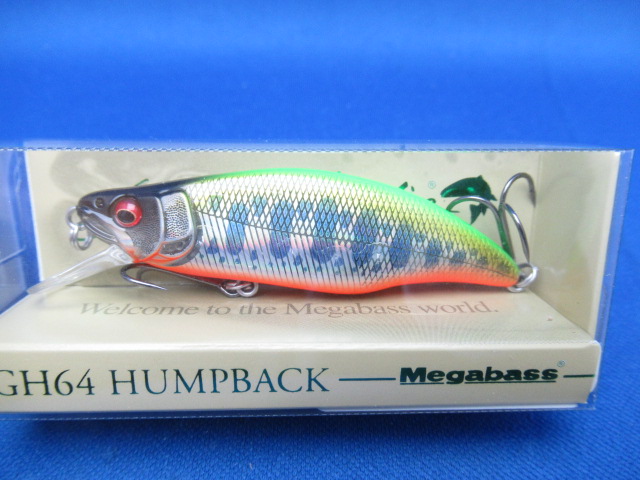GH64 HUMPBACK(FS)
