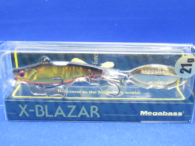 X-BLAZAR 21g