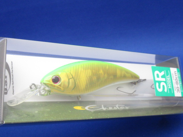 Chestar SR