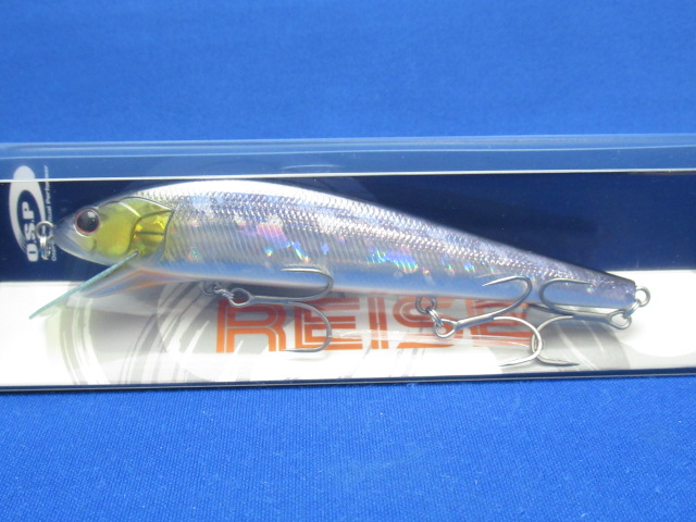 REISE110 HF