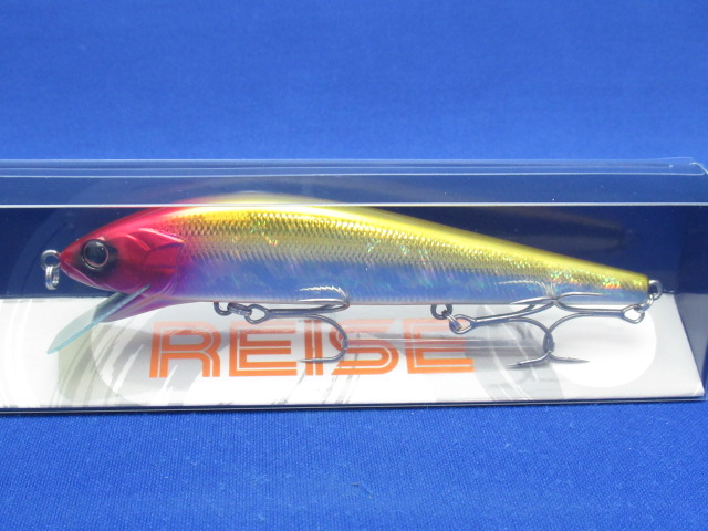 REISE110 HF