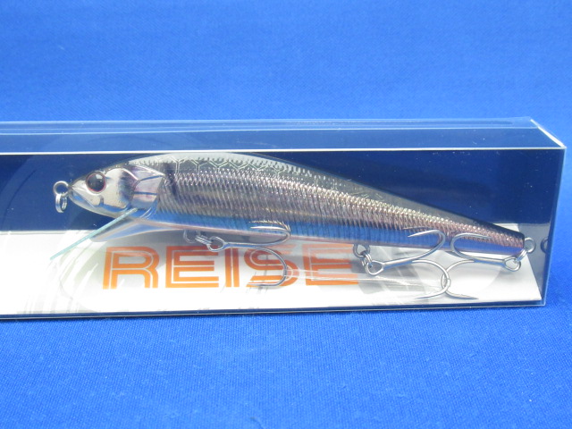 REISE110 HF
