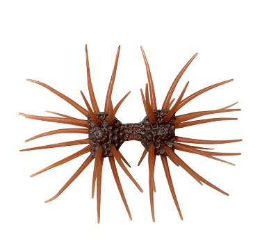 ダンベルクラブ エラストマー