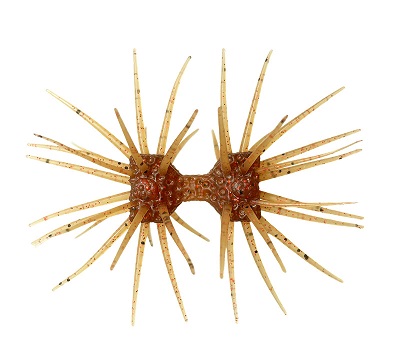 Dumbbell CRAB elastomer