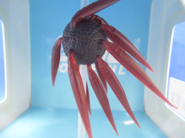 HU COIKE FISH L Elastomer