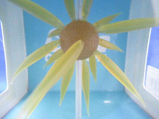 HU COIKE FISH L Elastomer