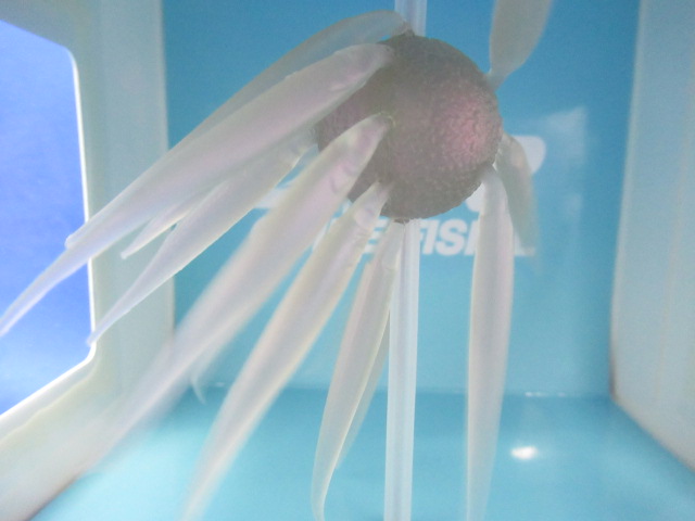 HU COIKE FISH L Elastomer