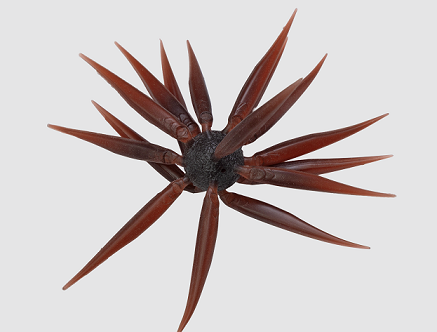 HU COIKE FISH M エラストマー