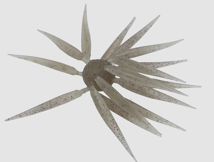 HU COIKE FISH M エラストマー