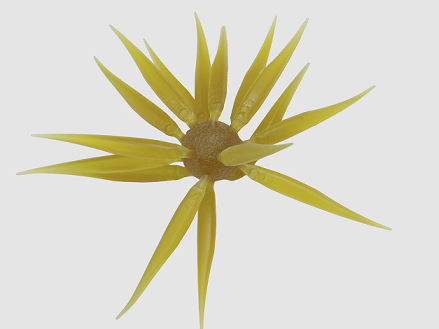 HU COIKE FISH M エラストマー