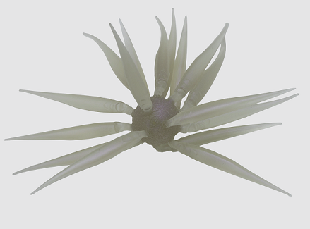 HU COIKE FISH M エラストマー