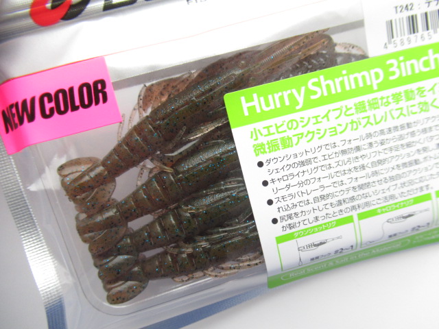 Hurry Shrimp 3”